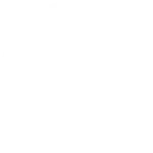 Movement Experience - Opening Hour